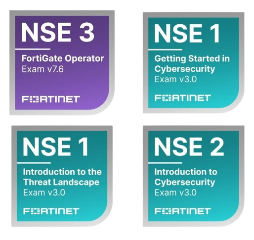 NSE 1, 2 & 3